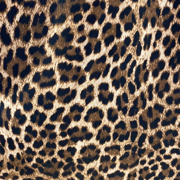Zara Cheetah Print Tunic Length Shirt - Picture 6 of 9